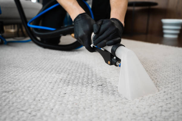Facility Deep Cleaning
Facility Maintenance
Property Maintenance
Carpet Extraction